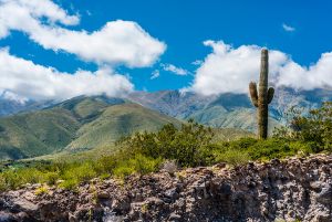Calchaqui Valley, Tucuman Province