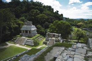 rovine di palenque