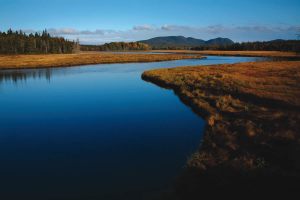 acadia national park 2