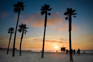 spaggia venezia - los angeles