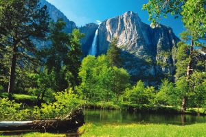 yosemite national park