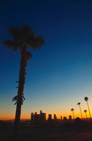 los angeles downtown skyline at sunset