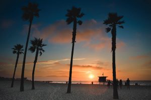 venice beach - los angeles
