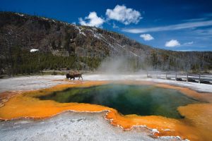 yellowstone national park